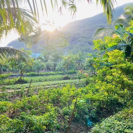 Kim'S Garden Villa Chi Khu Co Ong ภายนอก รูปภาพ